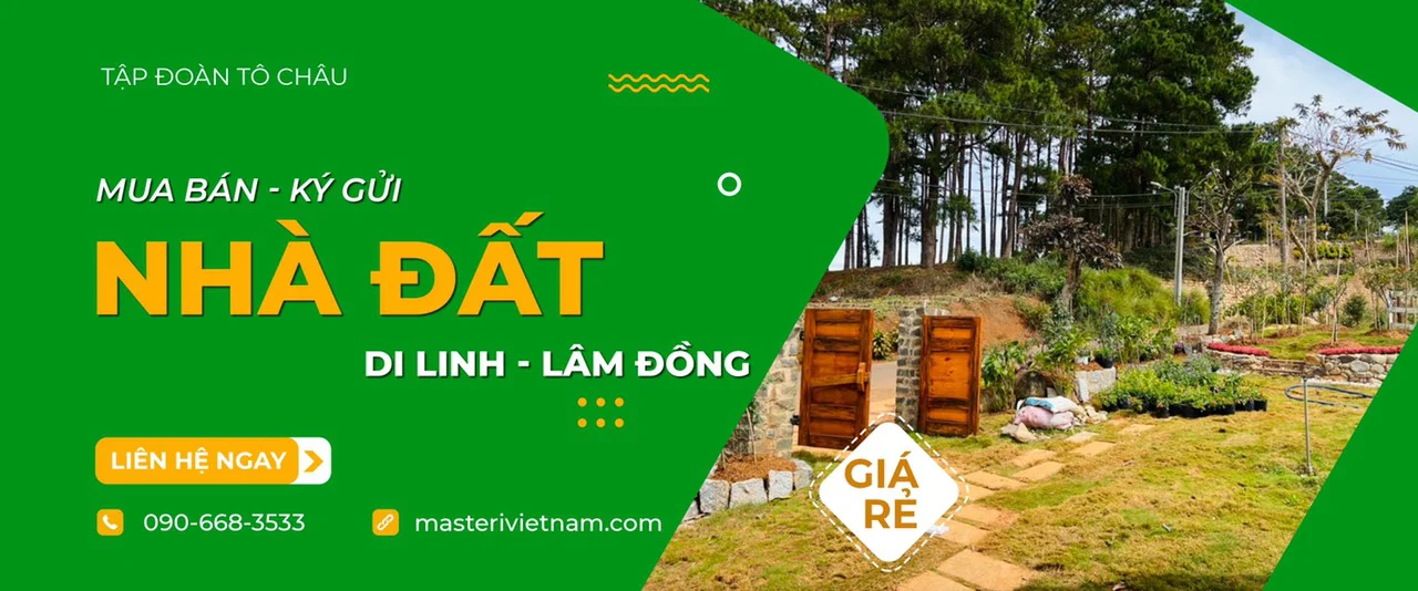 tochaudonga.com giới thiệu sản phẩm dịch vụ