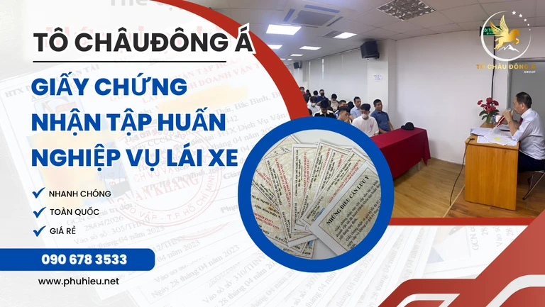 Giấy tờ nào lái xe phải mang theo và mức phạt kèm theo