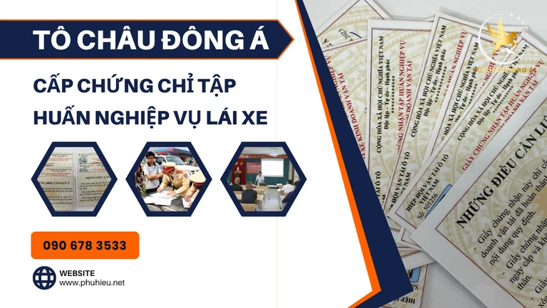 Cấp chứng chỉ tập huấn nghiệp vụ lái xe là gì?