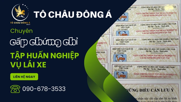 Cấp chứng chỉ tập huấn nghiệp vụ lái xe ở Đồng Nai uy tín