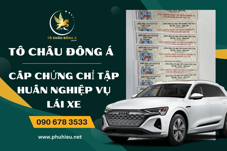 Cấp chứng chỉ tập huấn nghiệp vụ lái xe