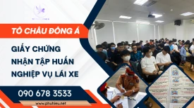 Cấp chứng chỉ tập huấn lái xe ô tô tại HCM giá rẻ