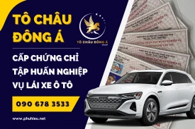 Cấp chứng chỉ tập huấn nghiệp vụ lái xe Nghệ An